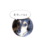 ルララスタンプ（個別スタンプ：39）