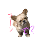 ワンダフル トマト犬 2（個別スタンプ：14）