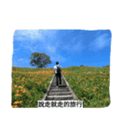 Travel is my antidote（個別スタンプ：3）