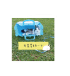 EEsChoco（個別スタンプ：4）