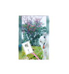 EEsChoco（個別スタンプ：5）