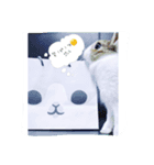 EEsChoco（個別スタンプ：8）