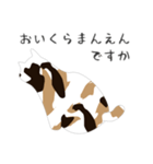 せねこ 7（個別スタンプ：10）