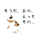 せねこ 7（個別スタンプ：22）