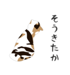 せねこ 7（個別スタンプ：29）