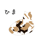 せねこ 7（個別スタンプ：37）