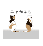 せねこ 7（個別スタンプ：38）