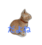 茶トラさんと仲間たち（個別スタンプ：14）