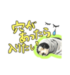 草々スタンプ（個別スタンプ：8）