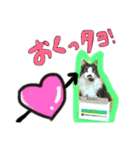 草々スタンプ（個別スタンプ：10）