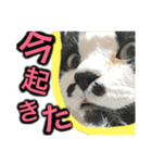 草々スタンプ（個別スタンプ：14）