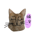 Diary of cats.Apple with Lumi（個別スタンプ：22）