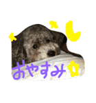 今日のかるぼ（個別スタンプ：2）