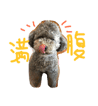 今日のかるぼ（個別スタンプ：3）