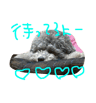 今日のかるぼ（個別スタンプ：6）