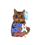 Cats momimoca（個別スタンプ：3）