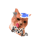 Cats momimoca（個別スタンプ：14）