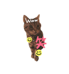 Cats momimoca（個別スタンプ：15）