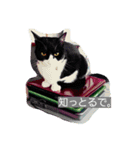 my ねこ（個別スタンプ：2）