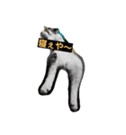 my ねこ（個別スタンプ：3）