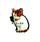 my ねこ（個別スタンプ：7）