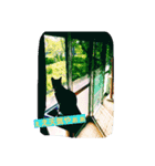 my ねこ（個別スタンプ：8）