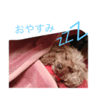 くるんくるん（個別スタンプ：5）