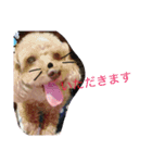 くるんくるん（個別スタンプ：7）