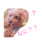 くるんくるん（個別スタンプ：8）