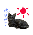 たけるん2（個別スタンプ：2）