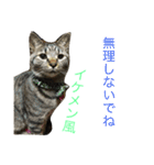 たけるん2（個別スタンプ：5）