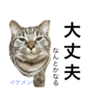 たけるん2（個別スタンプ：7）