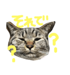 たけるん2（個別スタンプ：11）
