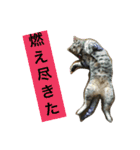 たけるん2（個別スタンプ：12）