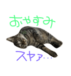 たけるん2（個別スタンプ：13）
