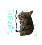たけるん2（個別スタンプ：18）