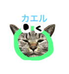 たけるん2（個別スタンプ：19）