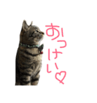 たけるん2（個別スタンプ：20）
