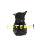 たけるん2（個別スタンプ：22）