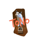 maro ＆ tono（個別スタンプ：2）