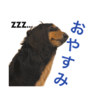 ☆Rinのお返事☆（個別スタンプ：2）