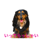 ☆Rinのお返事☆（個別スタンプ：5）