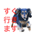 ☆Rinのお返事☆（個別スタンプ：7）