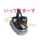 ☆Rinのお返事☆（個別スタンプ：9）