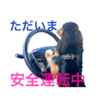 ☆Rinのお返事☆（個別スタンプ：10）