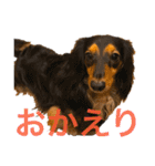 ☆Rinのお返事☆（個別スタンプ：11）