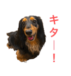 ☆Rinのお返事☆（個別スタンプ：12）