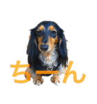 ☆Rinのお返事☆（個別スタンプ：14）
