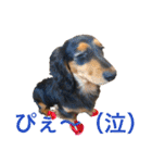 ☆Rinのお返事☆（個別スタンプ：19）