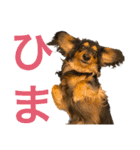 ☆Rinのお返事☆（個別スタンプ：22）